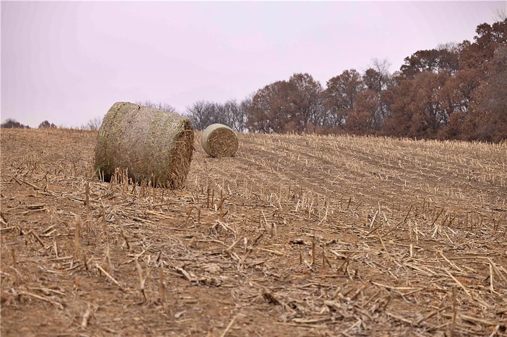 32184 East 237th Street Ridgeway, MO 64481 - Photo 69 of 95