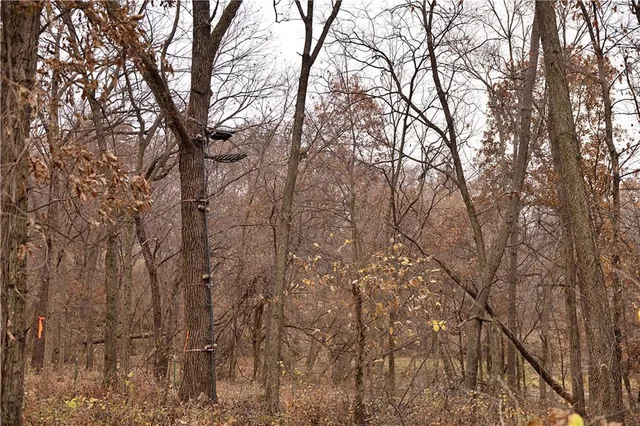 $1,000,000 | 32184 East 237th Street, Ridgeway, MO 64481