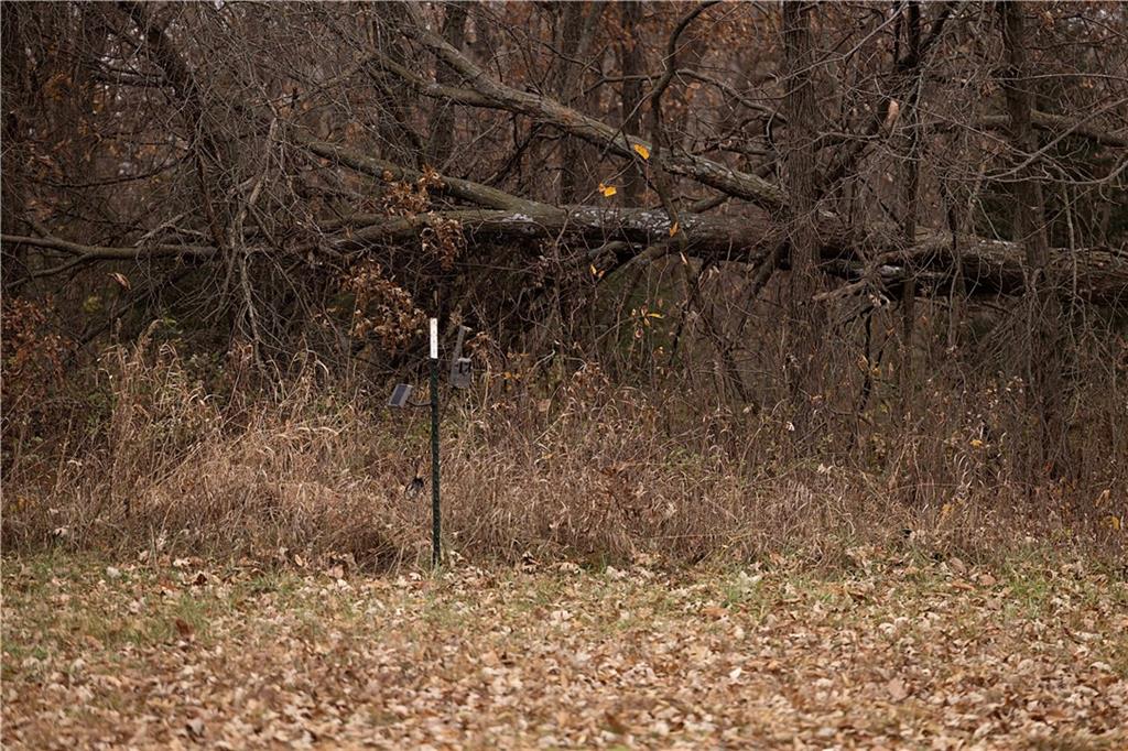 32184 East 237th Street Ridgeway, MO 64481 - Photo 73 of 95