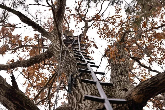 $1,000,000 | 32184 East 237th Street, Ridgeway, MO 64481