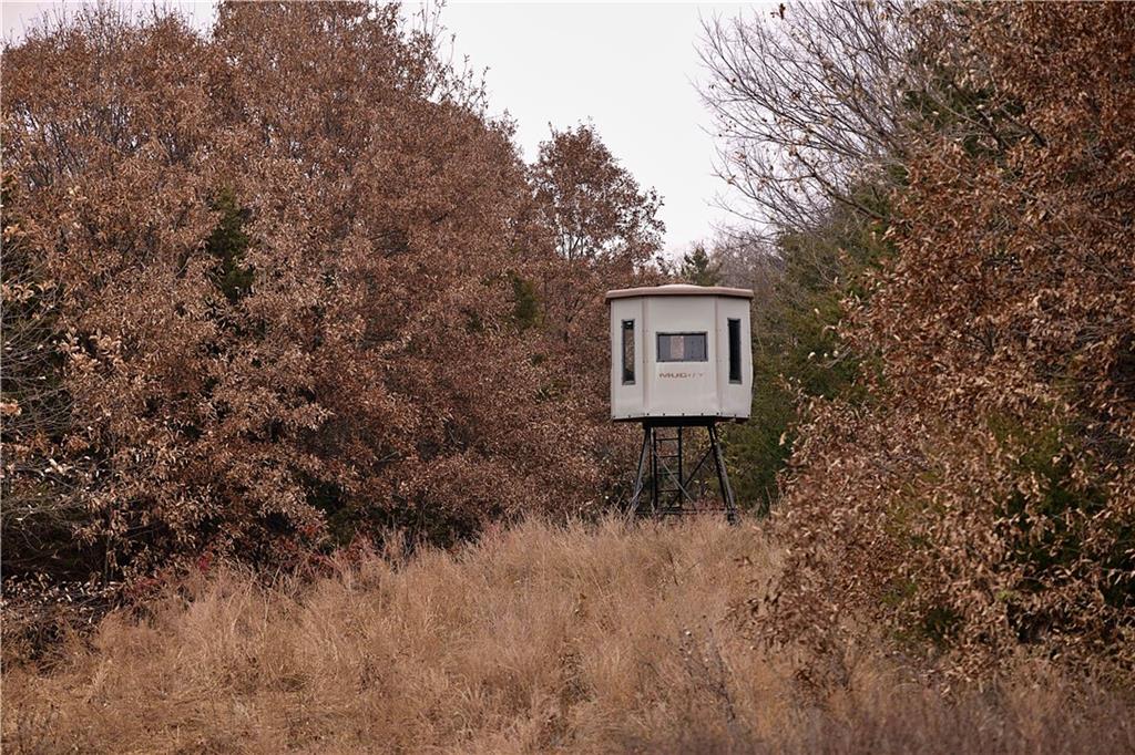 32184 East 237th Street Ridgeway, MO 64481 - Photo 75 of 95