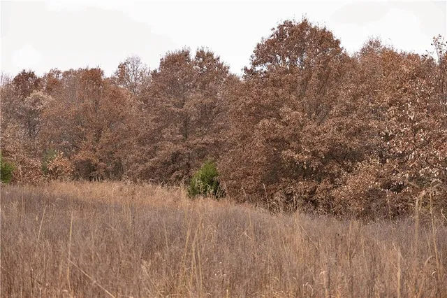 $1,000,000 | 32184 East 237th Street, Ridgeway, MO 64481