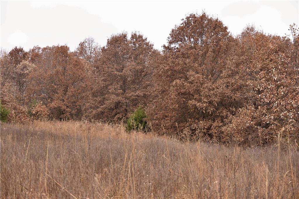 32184 East 237th Street Ridgeway, MO 64481 - Photo 76 of 95