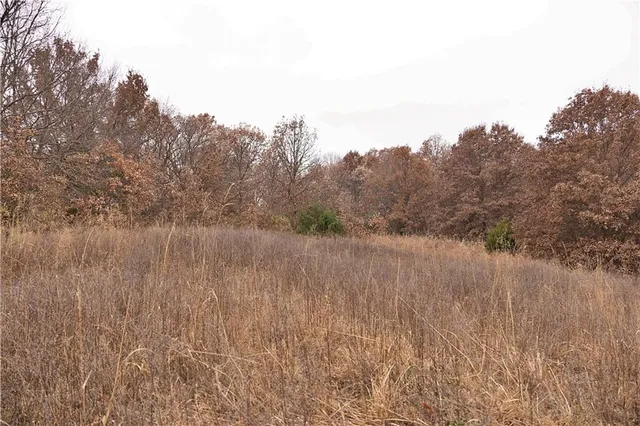 $1,000,000 | 32184 East 237th Street, Ridgeway, MO 64481