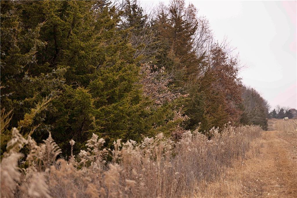 32184 East 237th Street Ridgeway, MO 64481 - Photo 78 of 95