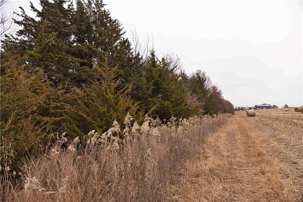 32184 East 237th Street Ridgeway, MO 64481 - Photo 79 of 95