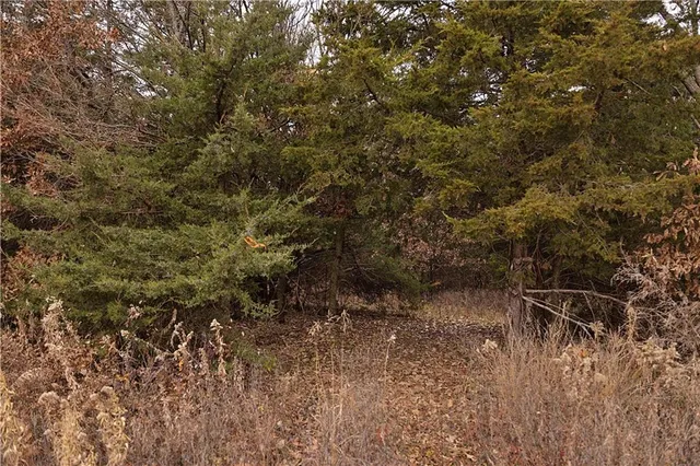 $1,000,000 | 32184 East 237th Street, Ridgeway, MO 64481