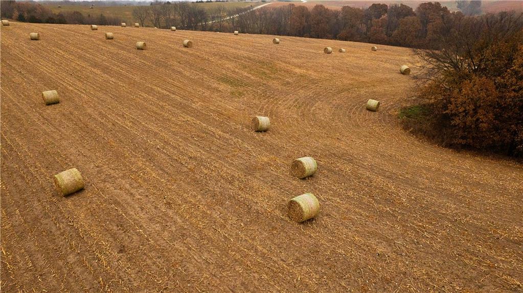 32184 East 237th Street Ridgeway, MO 64481 - Photo 87 of 95