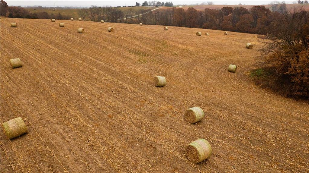 32184 East 237th Street Ridgeway, MO 64481 - Photo 88 of 95