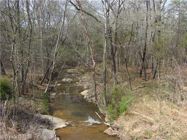 813 Carlton Road Stokesdale, NC 27357 - Photo 4 of 6 View. Gorgeous Stream