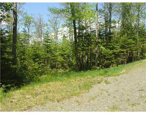 Lot 6 Mill Brook Road Rangeley, ME 04970 - Photo 6 of 7 Land. Driveway