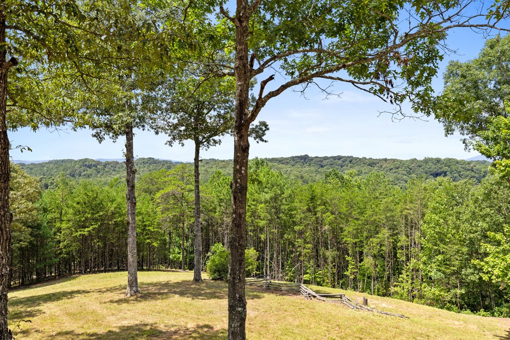 155 Paesano Road Mineral Bluff, GA 30559 - Photo 45 of 55 Gallery Image 45