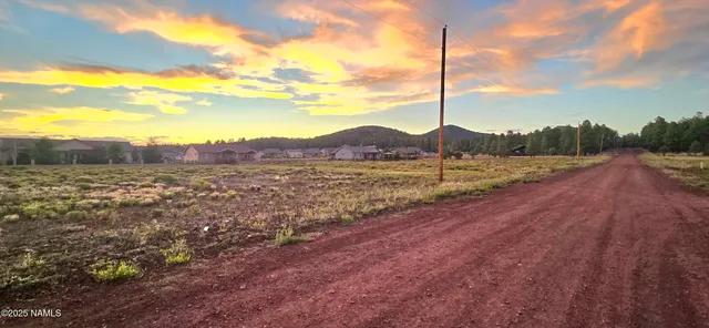 a view of a road with a big yard and a large tree