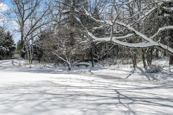 a view of a yard and street