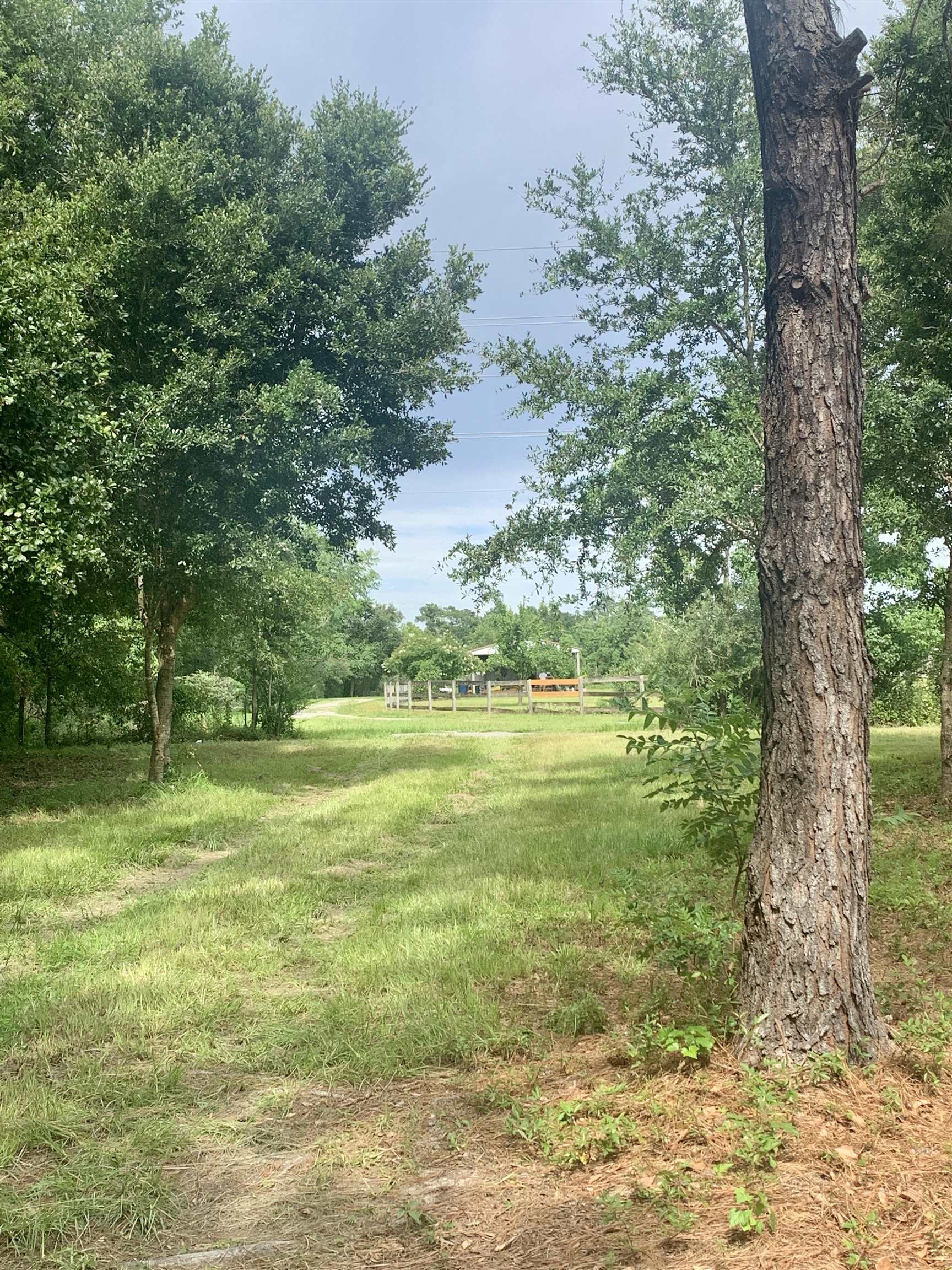 8206 Capri Lane Foley, AL 36535 - Photo 6 of 10 3.5 acres
