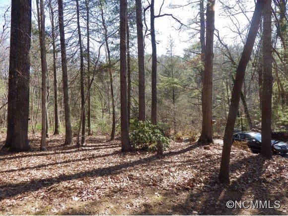 420 Mills Gap Road Arden, NC 28704 - Photo 22 of 24 Gallery Image 22