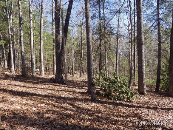 420 Mills Gap Road Arden, NC 28704 - Photo 4 of 24 Gallery Image 4