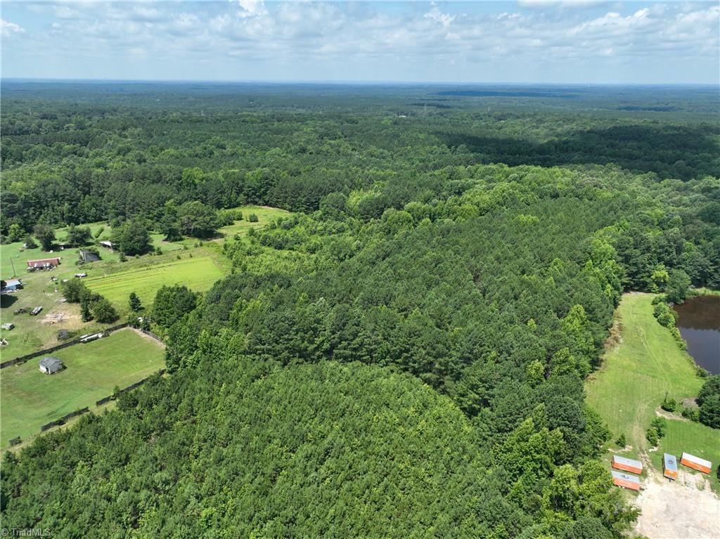 Lot #0 Bruce Garner Road Creedmoor, NC 27522 - Photo 2 of 7 Gallery Image 2
