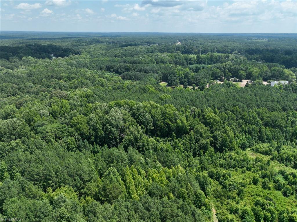 Lot #0 Bruce Garner Road Creedmoor, NC 27522 - Photo 4 of 7 Gallery Image 4