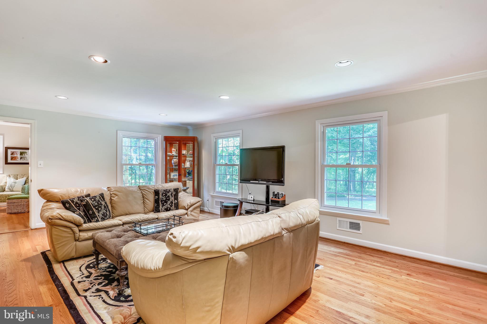 9600 Brink Road Gaithersburg, MD 20882 - Photo 18 of 66 Family room w/lots of natural & recessed light