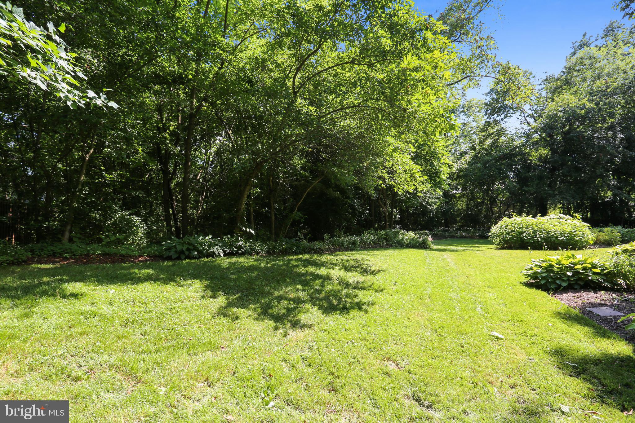 9600 Brink Road Gaithersburg, MD 20882 - Photo 56 of 66 Huge, private back yard bordered by trees