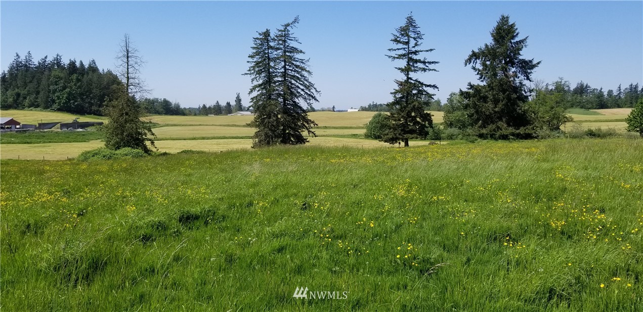 1522 West Badger Road Custer, WA 98240 - Photo 11 of 12