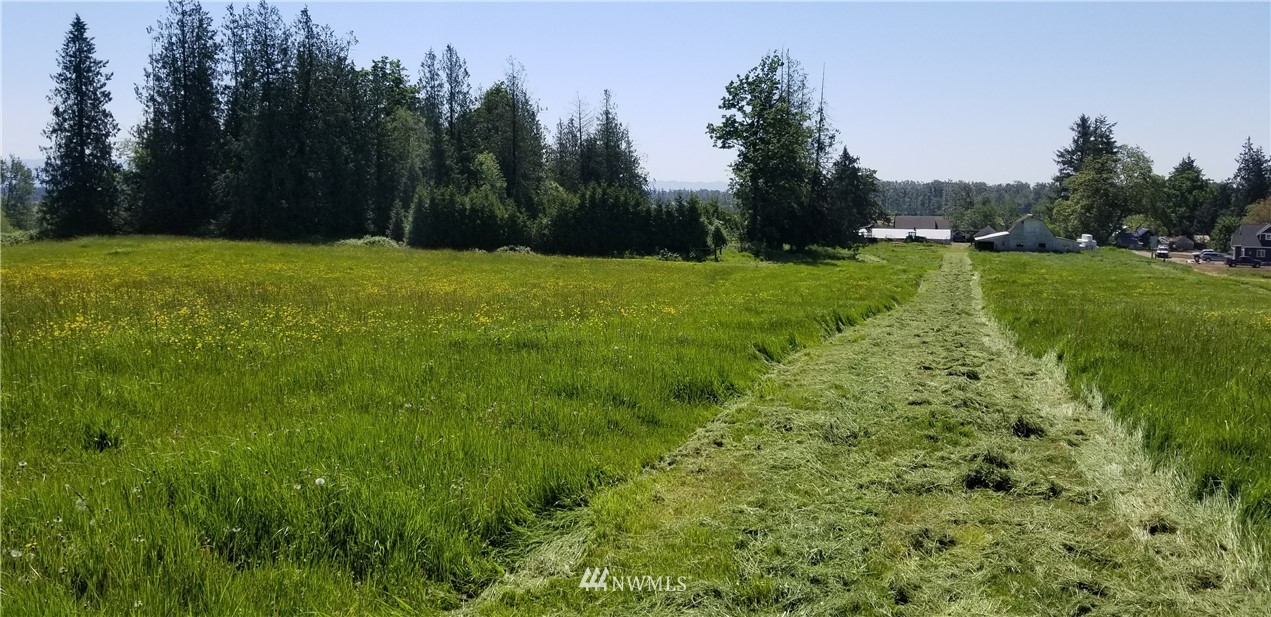 1522 West Badger Road Custer, WA 98240 - Photo 12 of 12