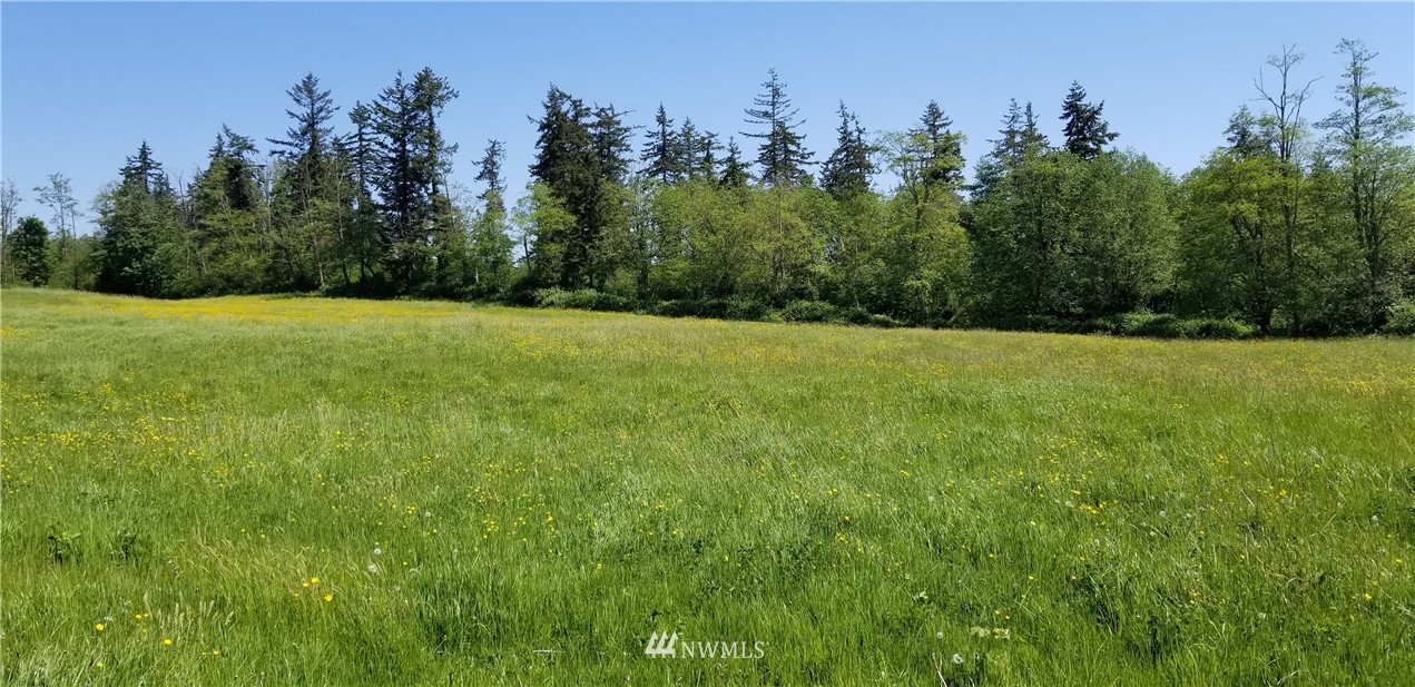 1522 West Badger Road Custer, WA 98240 - Photo 4 of 12