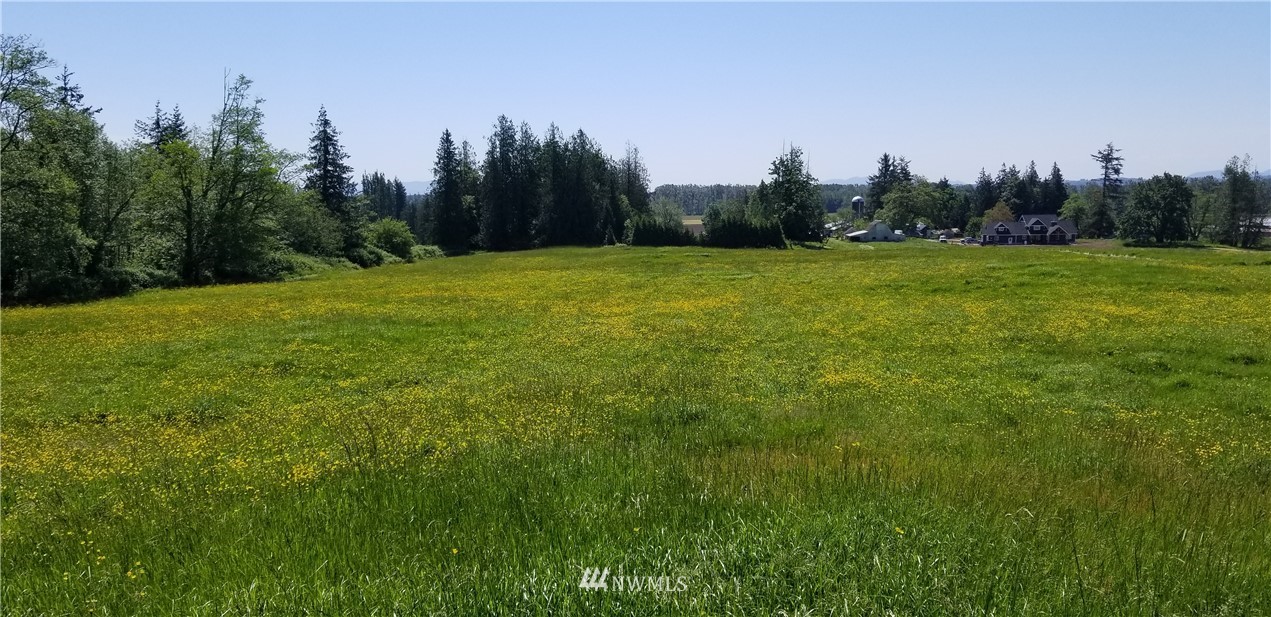 1522 West Badger Road Custer, WA 98240 - Photo 5 of 12