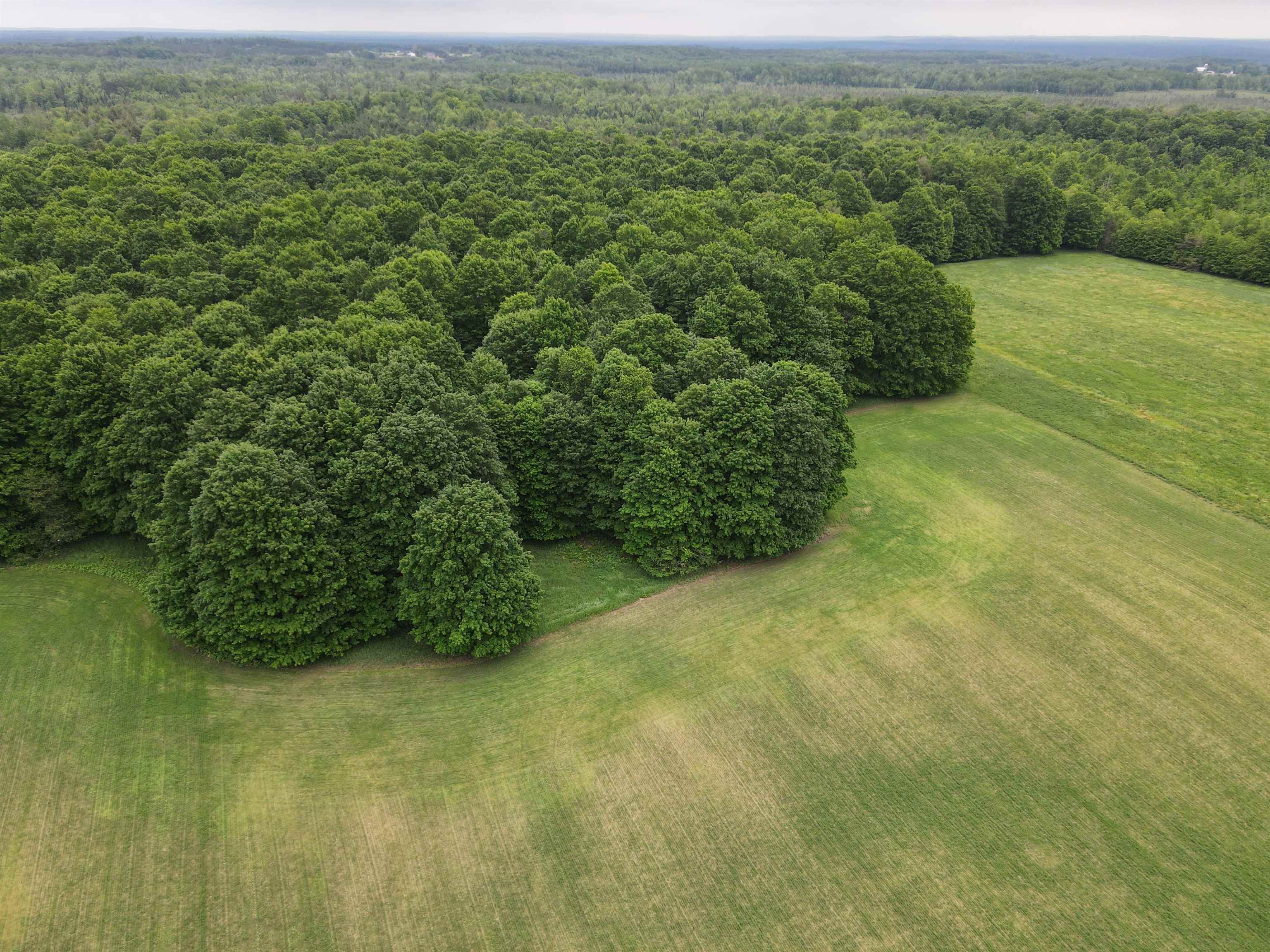 120-acres Blackman Road Kingsley, MI 49649 - Photo 6 of 12
