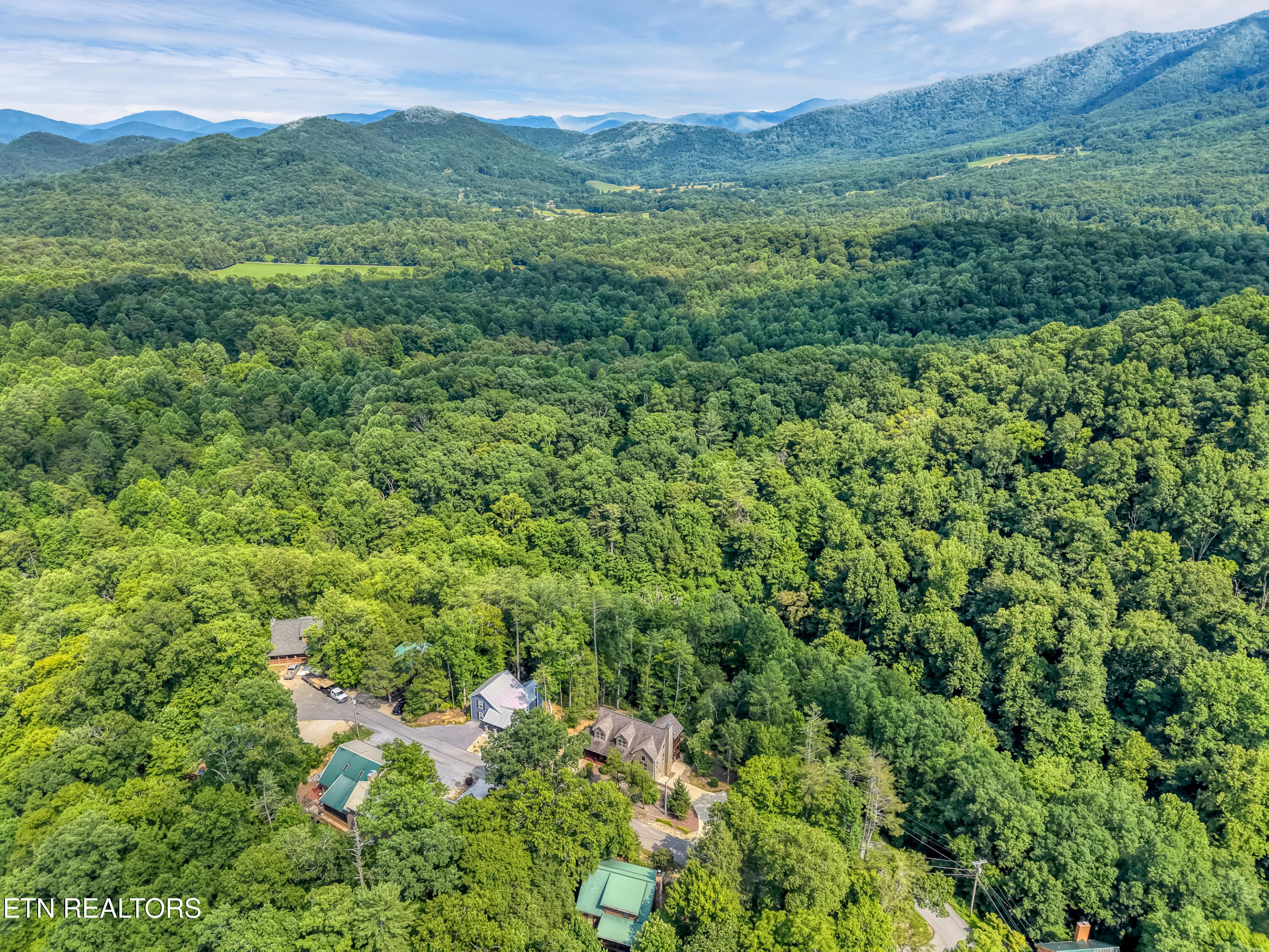 196 Cold Springs Trace Townsend, TN 37882 - Photo 48 of 58 DJI_20260625162210_0076_D_1-2