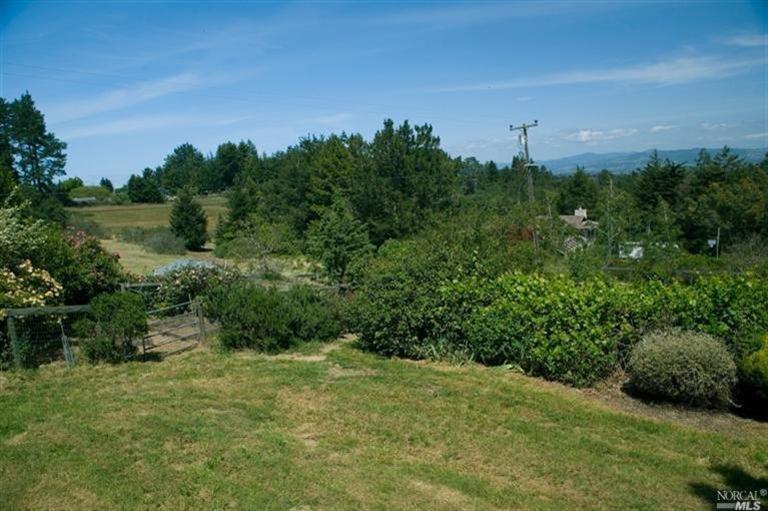3505 Thorn Road Sebastopol, CA 95472 - Photo 1 of 1 a view of a field with a tree in the background