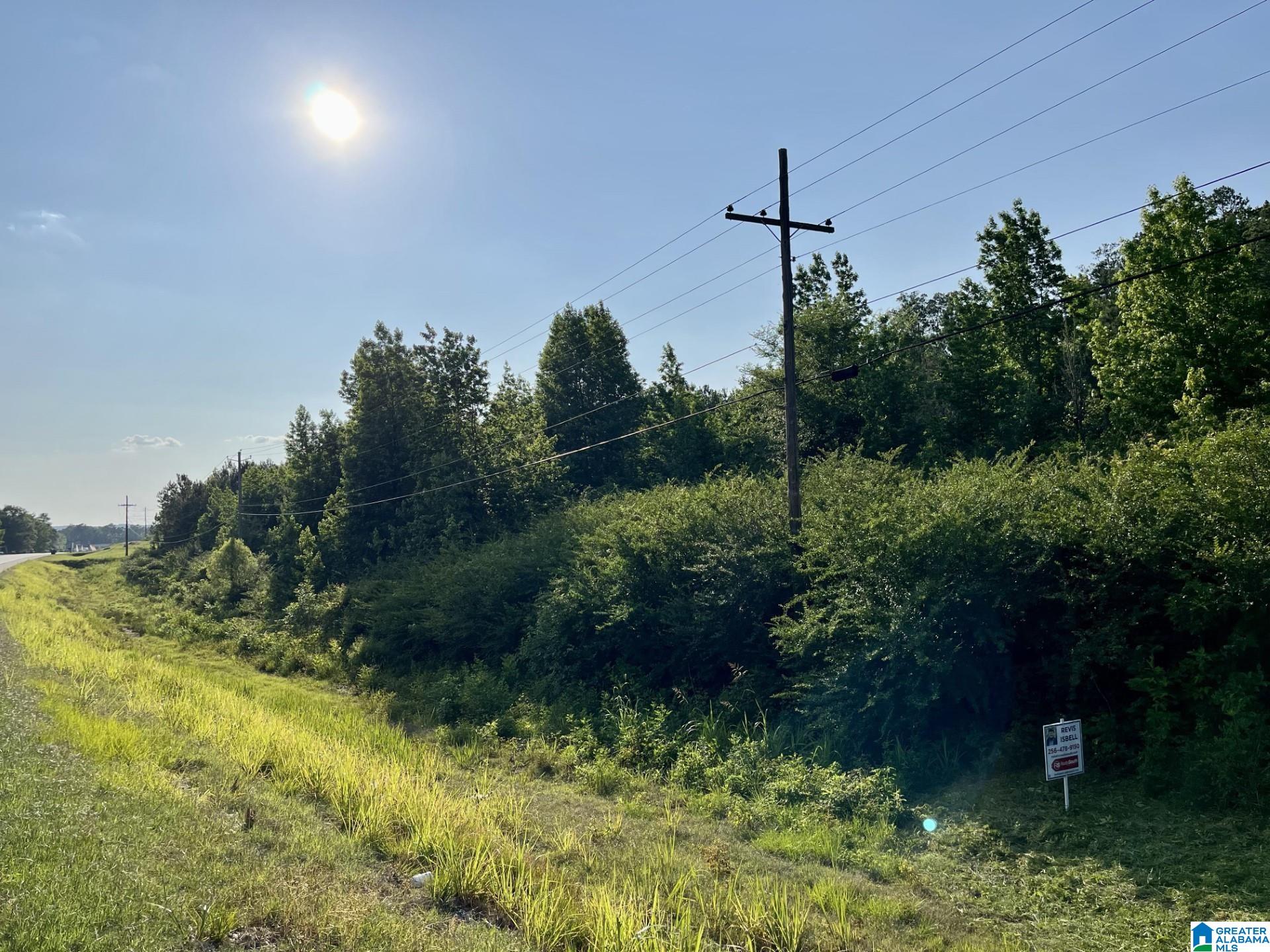 0 Highway 144, Unit 1 Ohatchee, AL 36271 - Photo 9 of 11