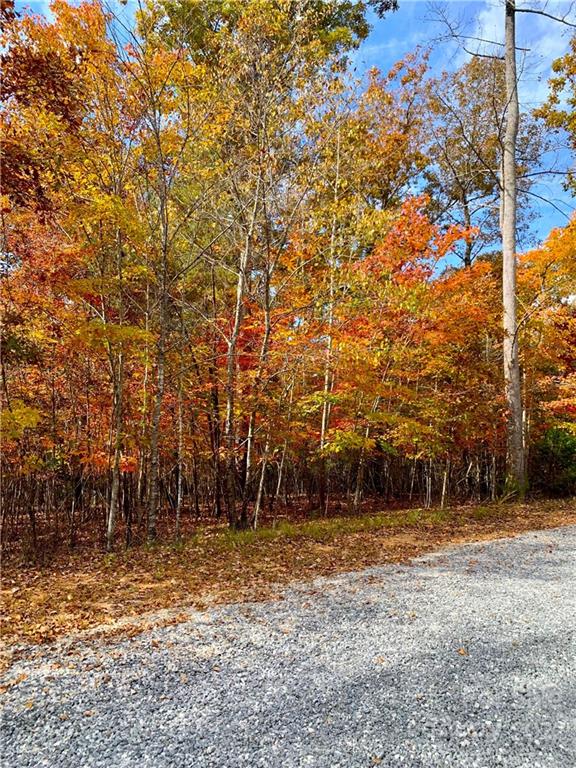 0 Zachary Ln Mill Spring, Unit 32 Rutherfordton, NC 28139 - Photo 12 of 13 a backyard of a house with lots of green space