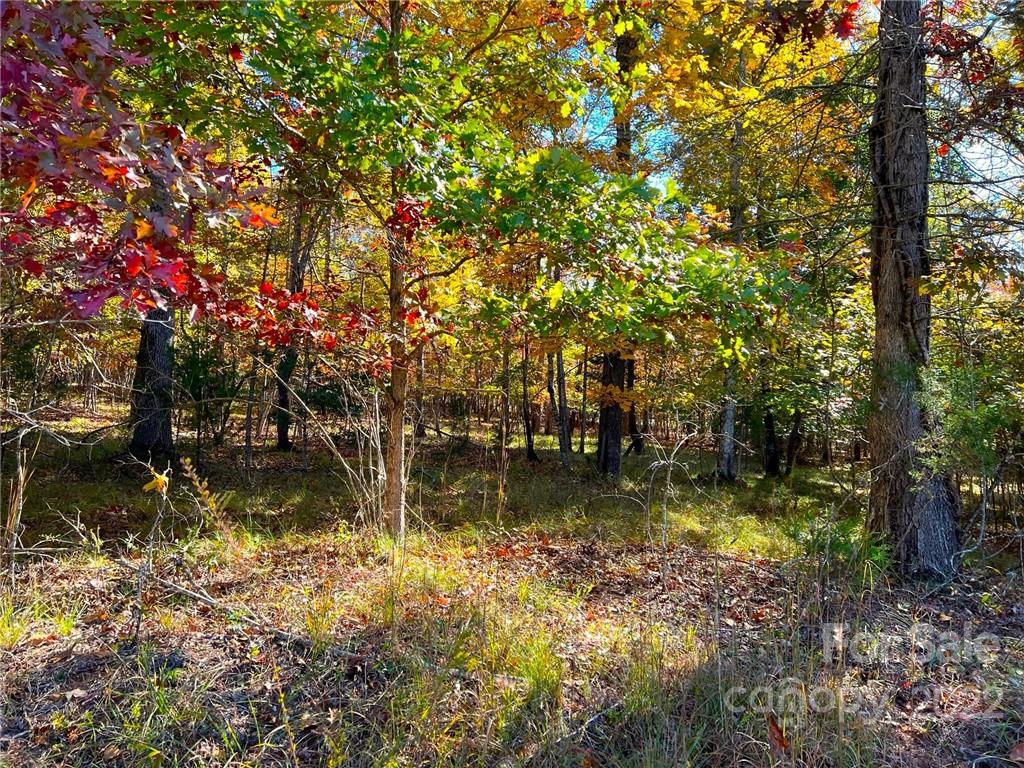 0 Zachary Ln Mill Spring, Unit 32 Rutherfordton, NC 28139 - Photo 3 of 13 a backyard of a house with lots of green space