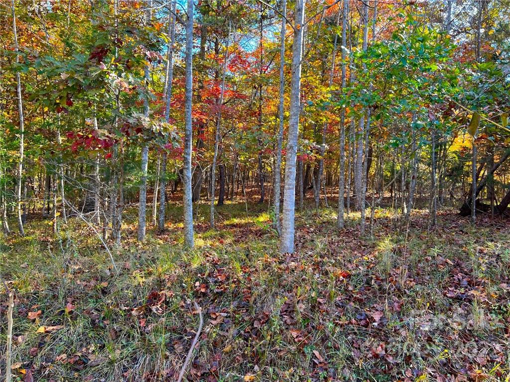 0 Zachary Ln Mill Spring, Unit 32 Rutherfordton, NC 28139 - Photo 4 of 13 a backyard of a house with lots of green space