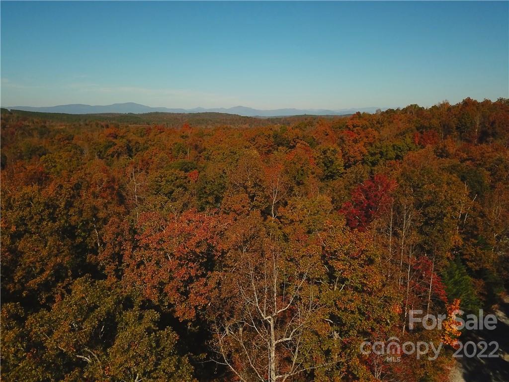 0 Zachary Ln Mill Spring, Unit 32 Rutherfordton, NC 28139 - Photo 6 of 13 an aerial view of houses with yard