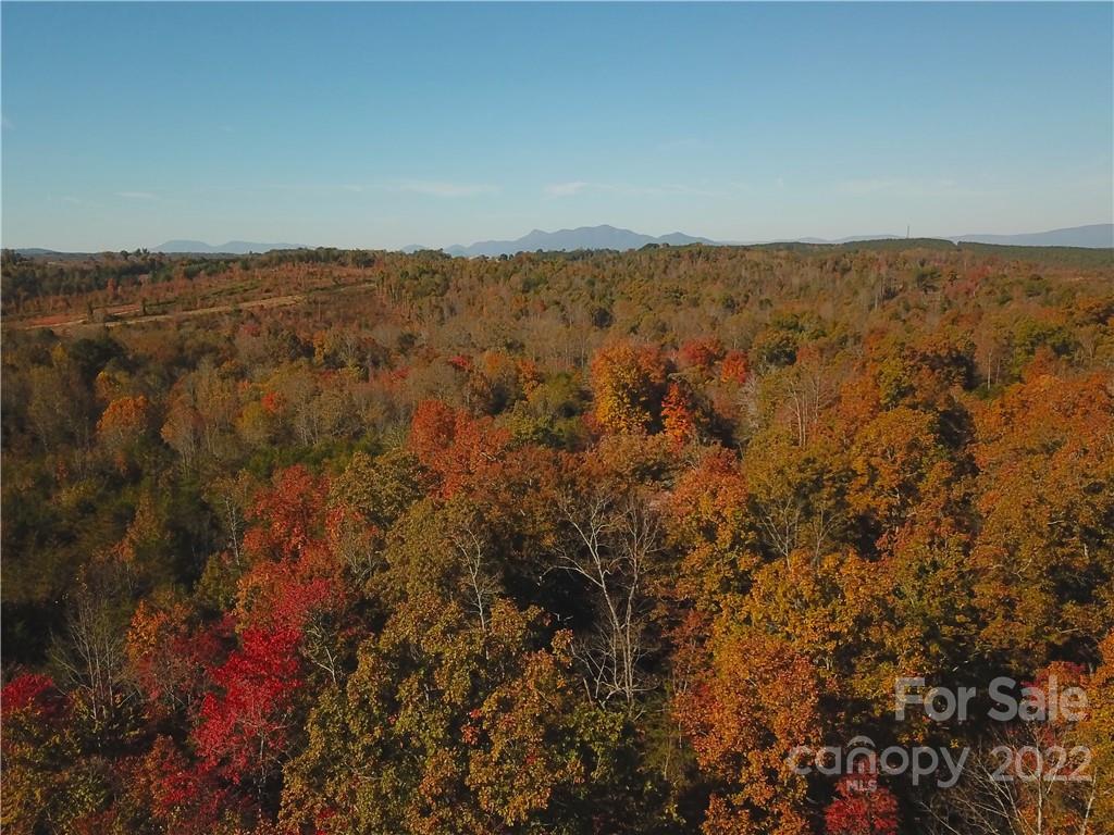 0 Zachary Ln Mill Spring, Unit 32 Rutherfordton, NC 28139 - Photo 8 of 13 a view of city and mountain