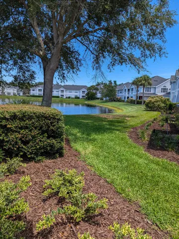 a view of a garden with a large tree