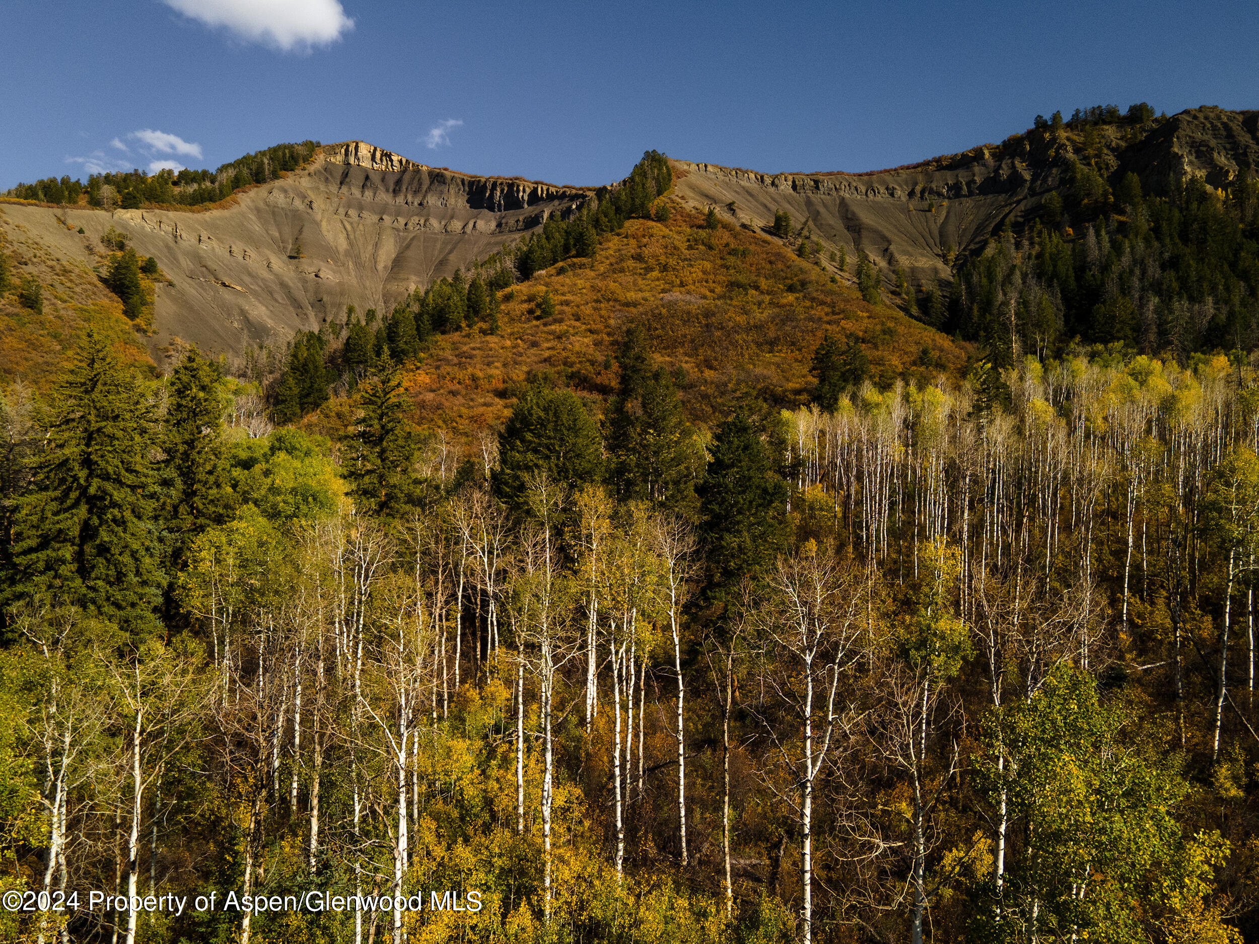 1012 Monastery Road Snowmass, CO 81654 - Photo 14 of 96 St-Benedicts-Monastery-ranches-for-sale-
