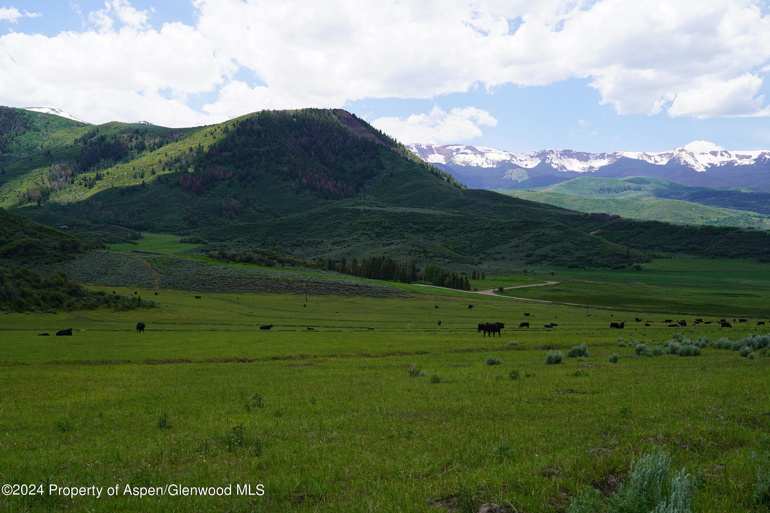 1012 Monastery Road Snowmass, CO 81654 - Photo 15 of 96 a view of a green field with mountains in the background