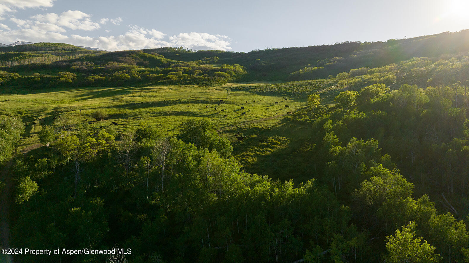 1012 Monastery Road Snowmass, CO 81654 - Photo 37 of 96 St-Benedicts-Monastery-Colorado-Ranches-
