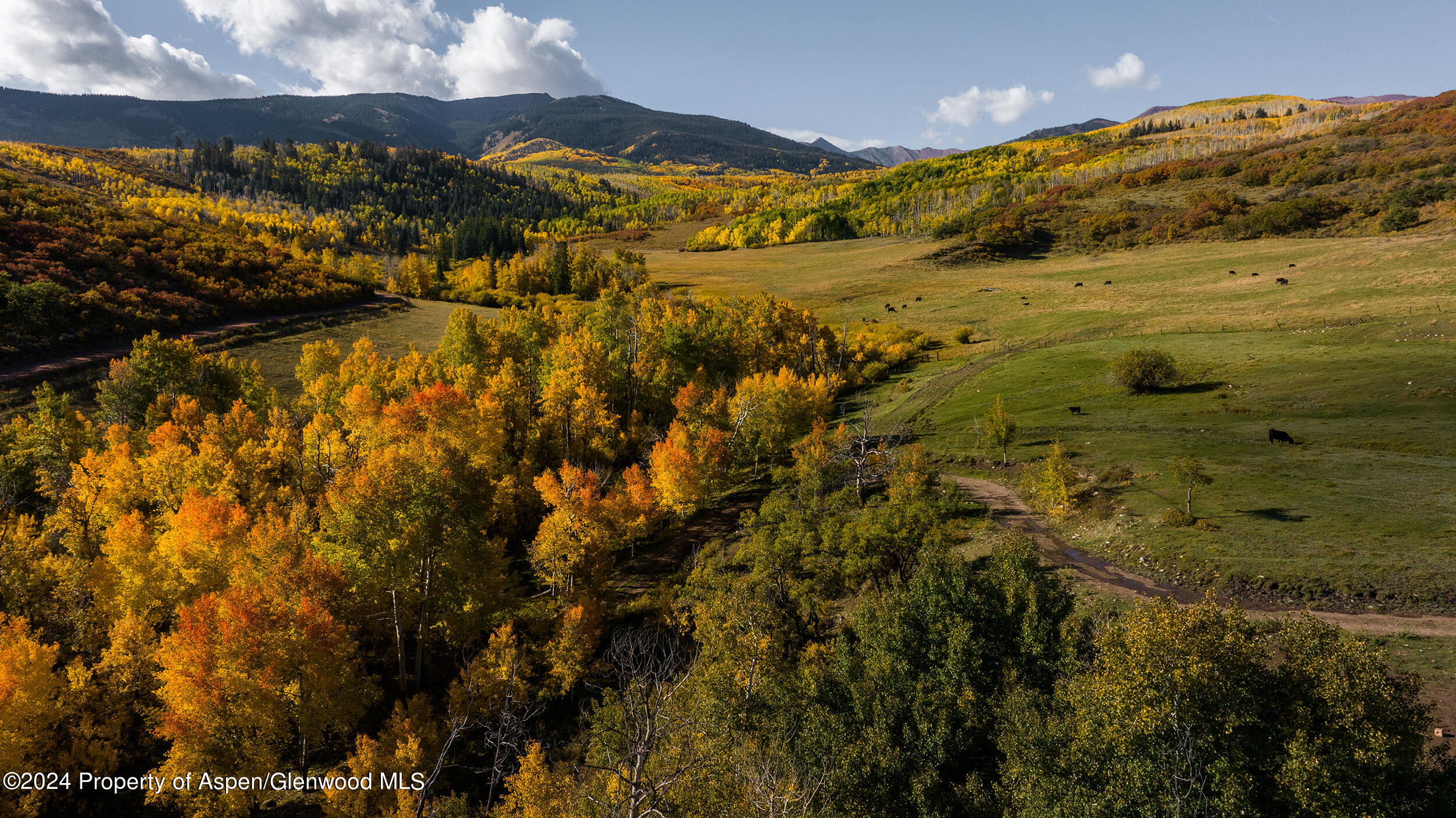 1012 Monastery Road Snowmass, CO 81654 - Photo 38 of 96 St-Benedicts-Monastery-ranches-for-sale-