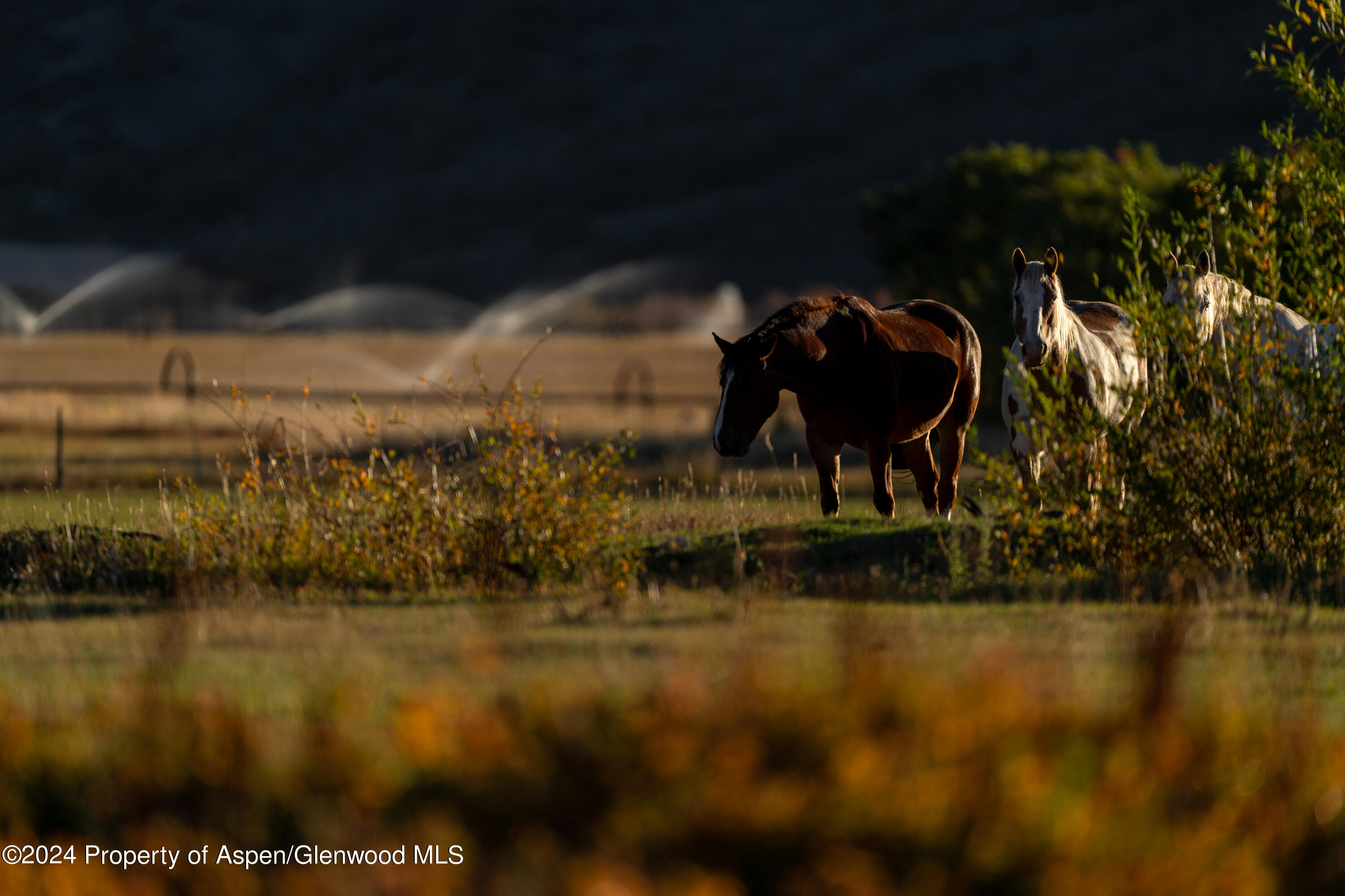 1012 Monastery Road Snowmass, CO 81654 - Photo 40 of 96 a view of a lake