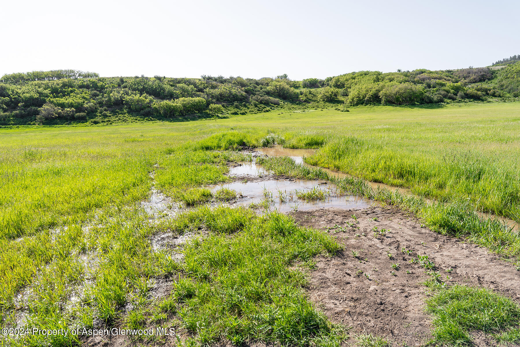 1012 Monastery Road Snowmass, CO 81654 - Photo 44 of 96 a view of a lake with trees in the background