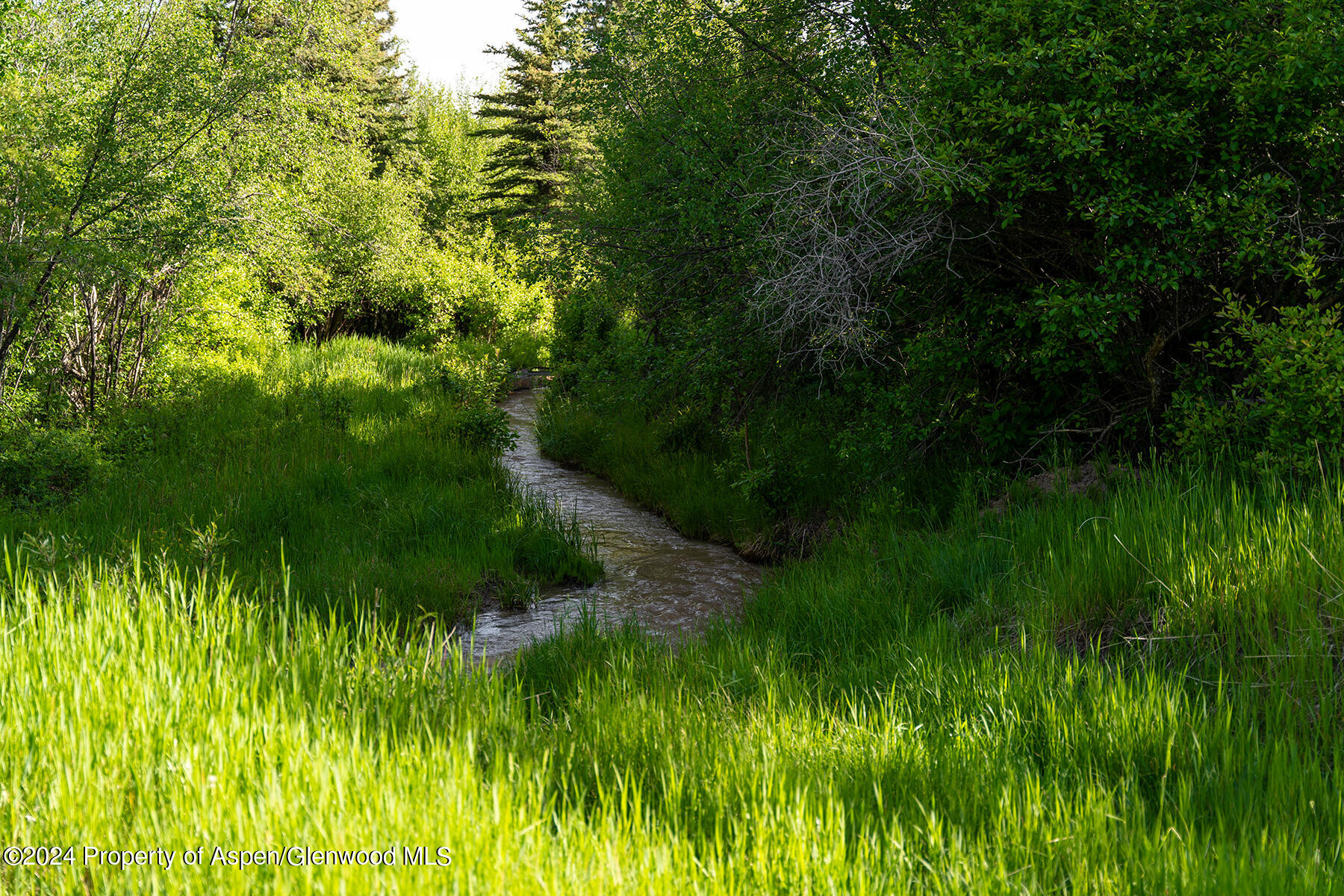 1012 Monastery Road Snowmass, CO 81654 - Photo 45 of 96 a view of a lush green space