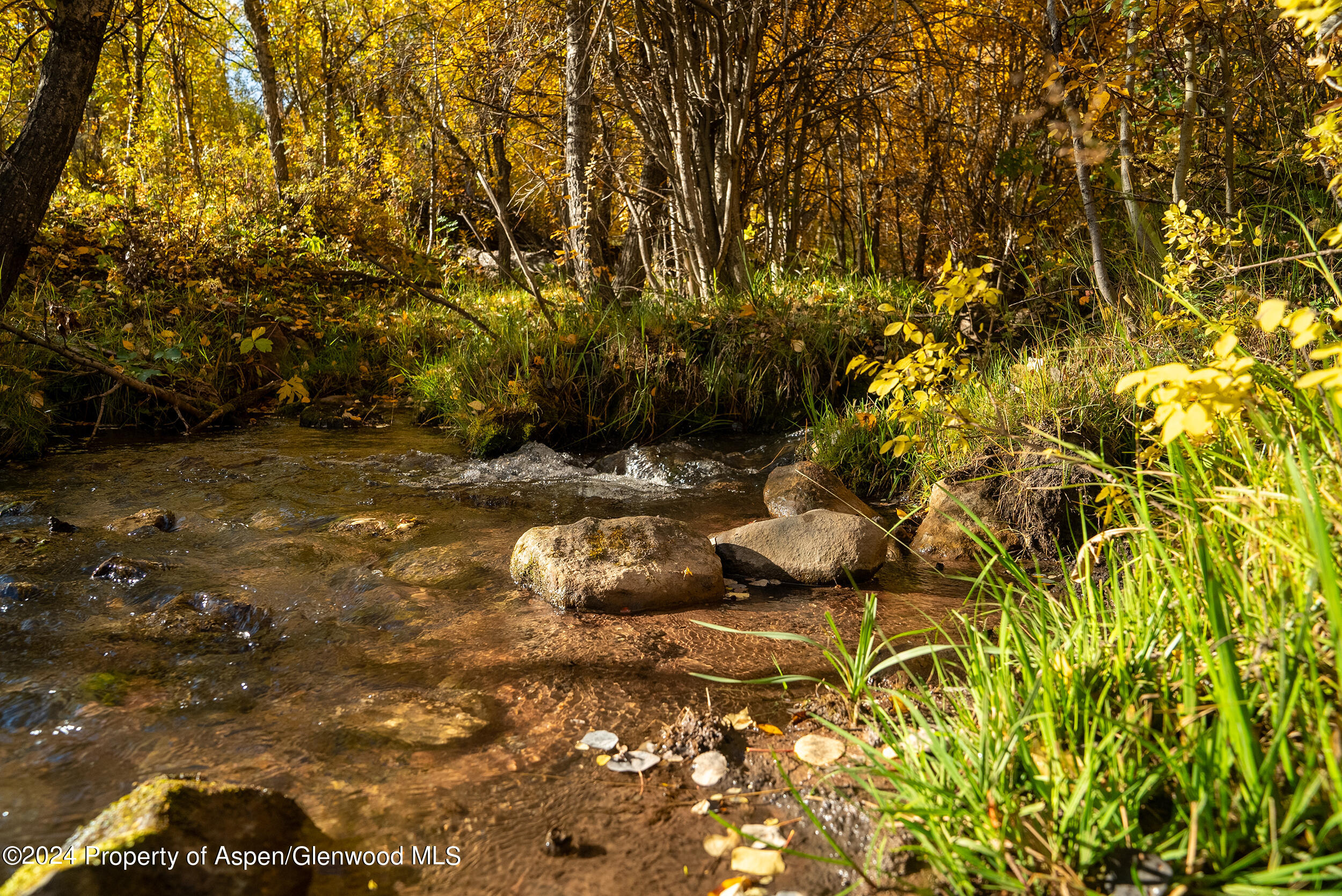 1012 Monastery Road Snowmass, CO 81654 - Photo 46 of 96 a backyard of a house