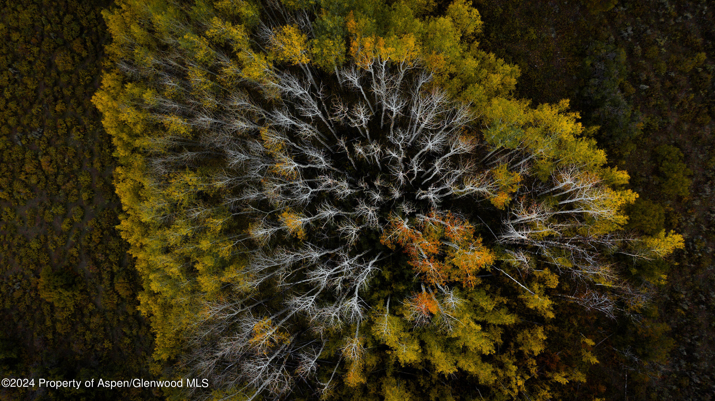 1012 Monastery Road Snowmass, CO 81654 - Photo 50 of 96 St-Benedicts-Monastery-ranches-for-sale-