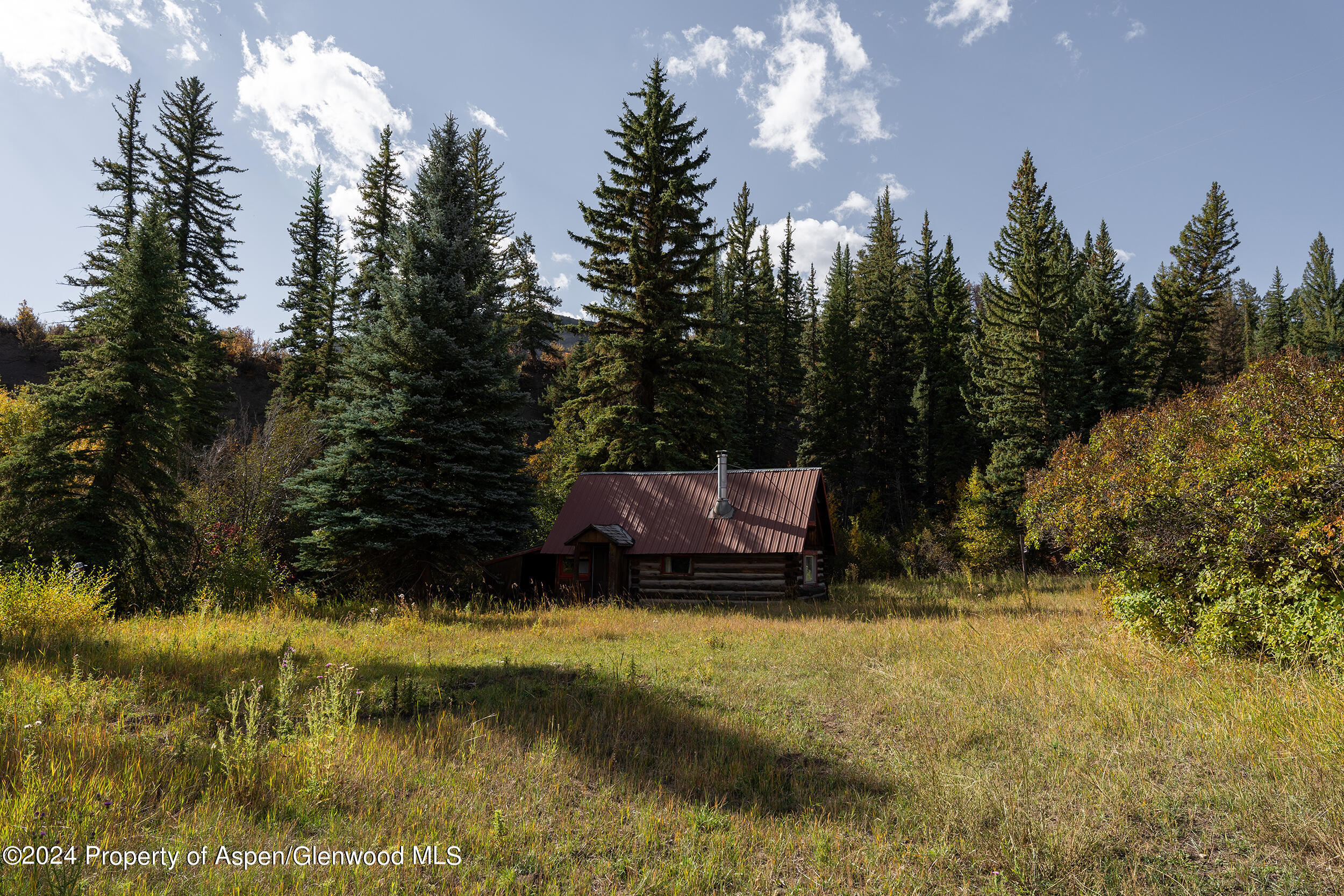 1012 Monastery Road Snowmass, CO 81654 - Photo 51 of 96 a view of swimming pool with a yard