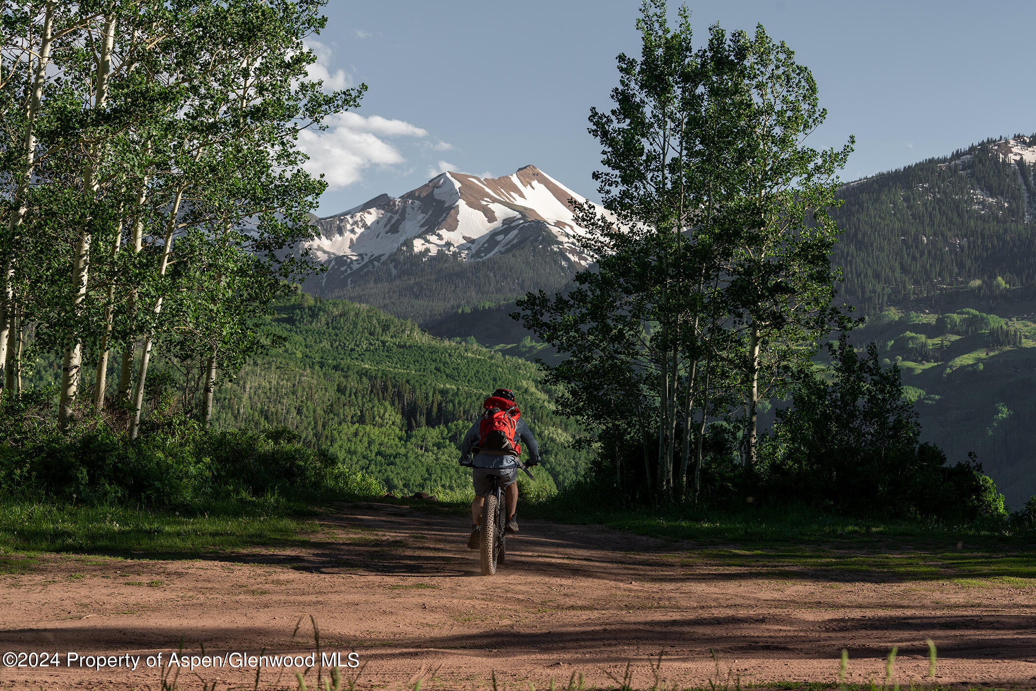 1012 Monastery Road Snowmass, CO 81654 - Photo 58 of 96 a view of a park